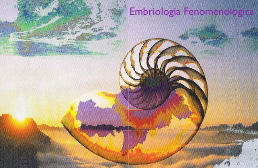 embriologia fenomenologica